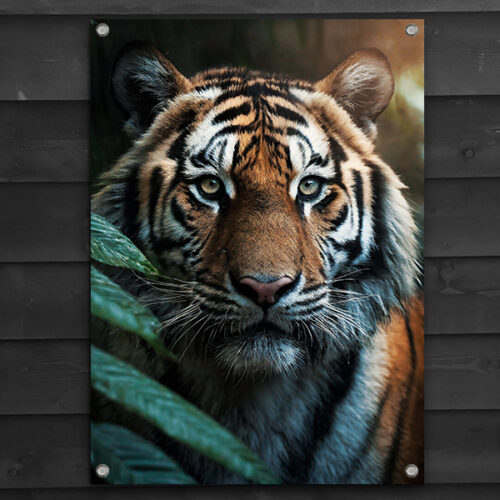 Tuinposter-Tijger Tuinposter tijger